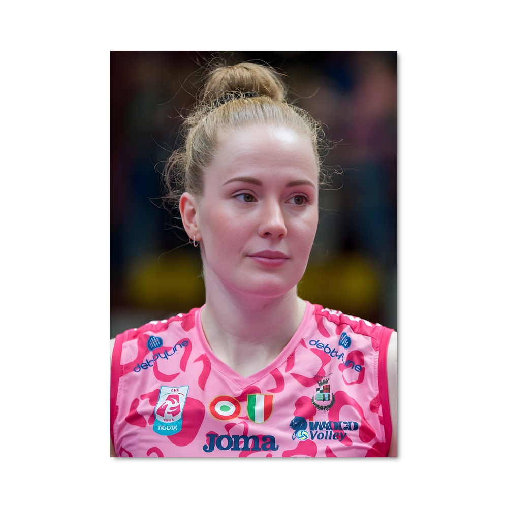 Poster Isabelle haak fonctionnalité